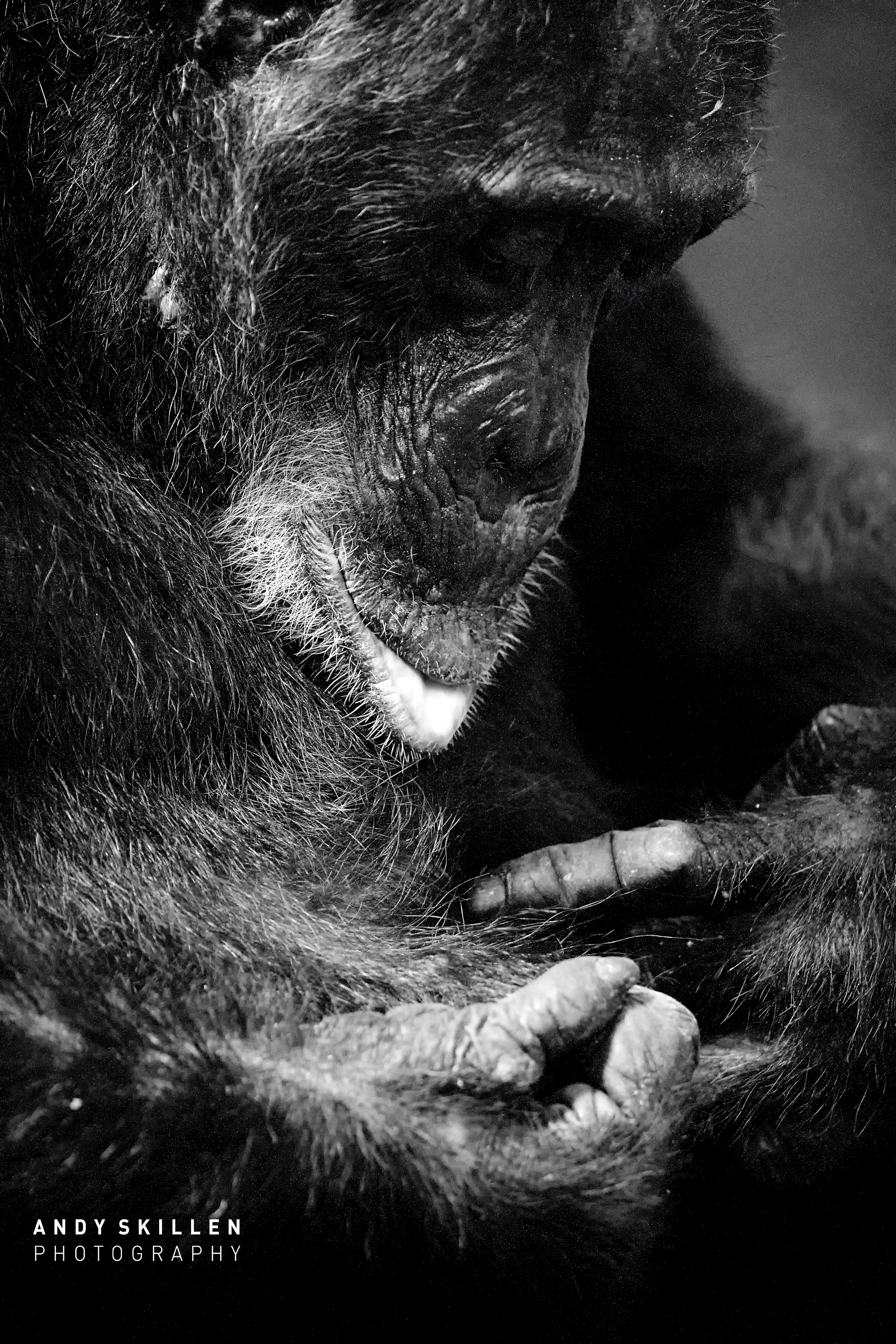 Contemplation